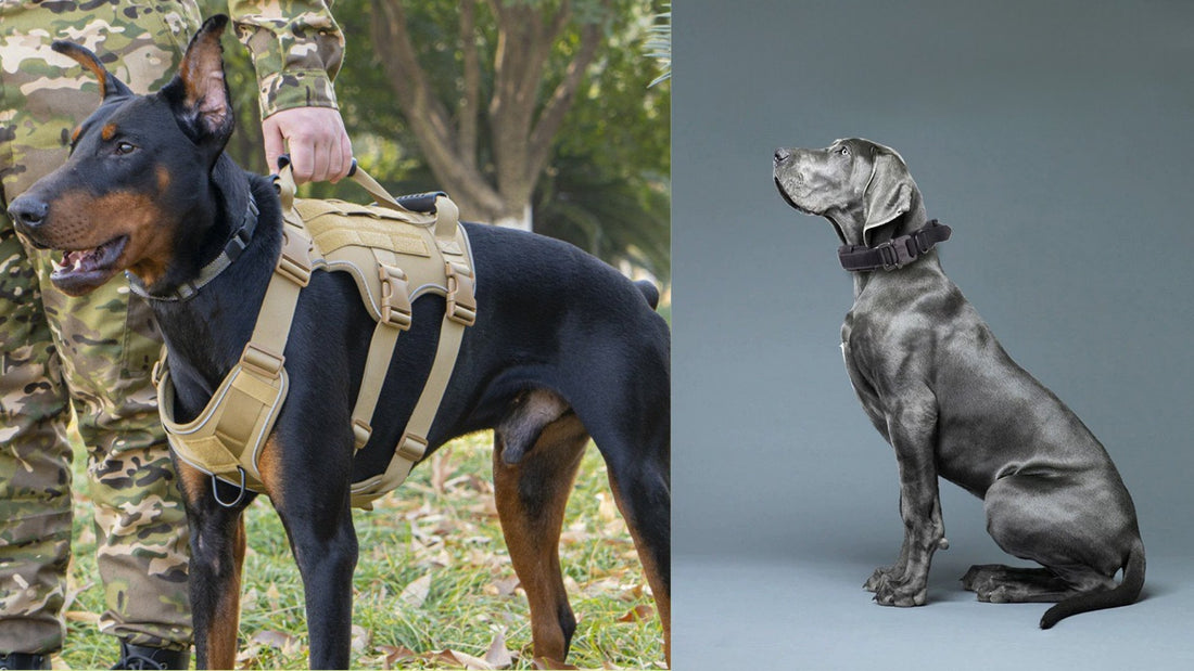 Tactical Gear