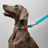 Dog Half-Choke Anti-Pull Training Collar