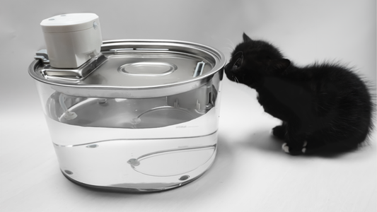 Minimalist Wireless Smart Sensor Pet Drinking Fountain: How 83% of Cat Owners Solved Messy, Unsafe Water Disasters