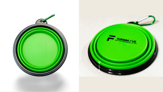 Portable and Collapsible Pet Bowl: How 68% of Pet Owners Ended Messy Spills & Eco Guilt