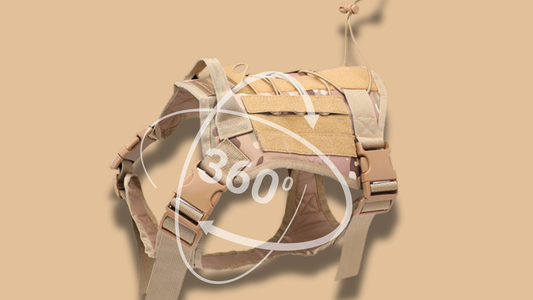 T3 Tactical Harness: How a Near-Disaster Inspired Safer Gear for Strong Dogs