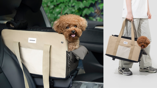 Why Is Your Pet's Safety at Risk on the Road? Discover How the Pet Armrest Car Seat Carrier Transforms Travel