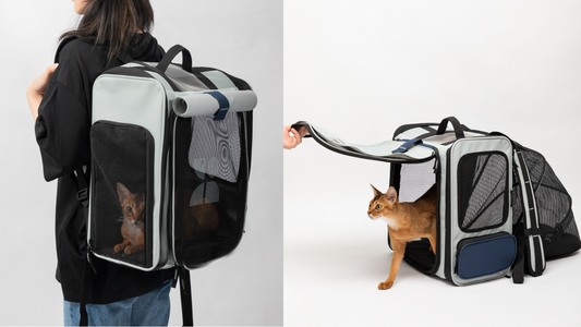 Pet Travel Tent Backpack: Lightweight & Convertible Design for Hiking and City Adventures