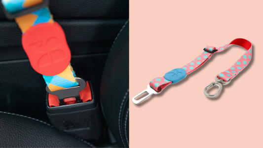 Dog Car Safety Seat Belt: The Near-Crash That Made Me Rethink Pet Travel Safety