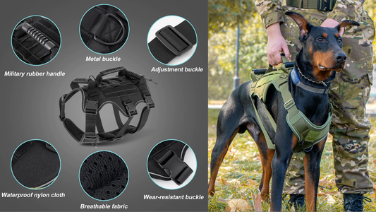 T6 Tactical Dog Harness: Why Does My Dog Keep Slipping His Harness?—And How to Fix It for Good?