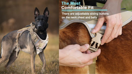 T7 Tactical Dog Harness: The Midnight Rescue That Changed How I Gear Up My Dog Forever