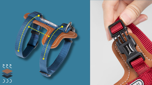 Leather Cat Harness & Leash Set: Why Won’t My Cat Stop Wiggling Out?—And the Stylish Fix for Escape Artists