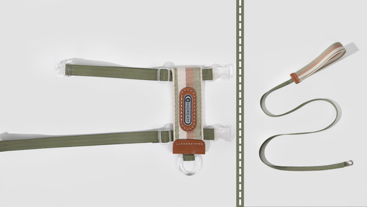 Striped Cat Harness & Leash Set: Why Is My Cat Panting in Their Harness?—And the Stylish Fix for Overheated Adventurers