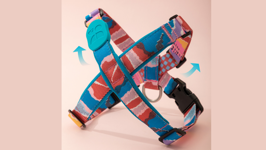X-Battle Armour Dog Harness: Why Is My Dog Coughing on Walks?—And the Fix That Saved My Pup’s Adventures