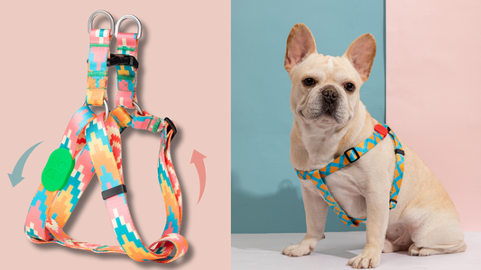 Y-Shaped Dog Harness: Why Is My Dog Wheezing on Walks?—And the Ergonomic Fix That Saved My Pup’s Adventures