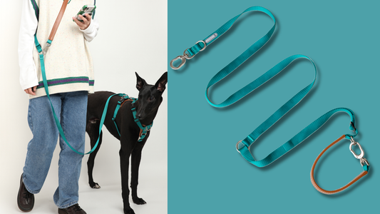 Why the Multifunctional Crossbody Dog Leash is Essential for Stress-Free Walks