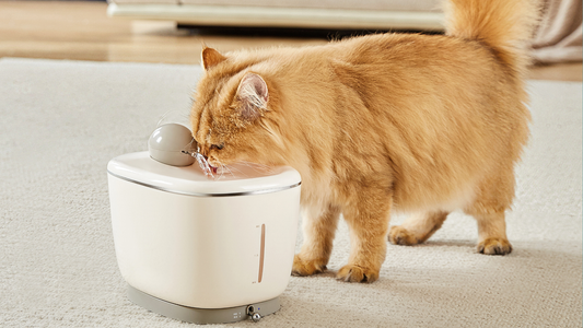 Why Are You Risking Your Pet’s Health? Discover How This Luxury Smart Pet Water Fountain Can Save the Day