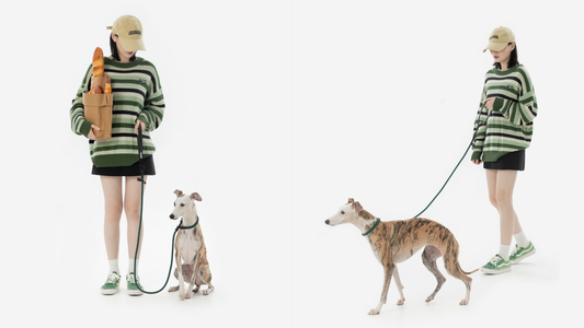 Leather Handle Heavy-Duty Dog Training Leash: How 72% of Owners Stopped Tangles & Injuries (And Saved Their Walks)