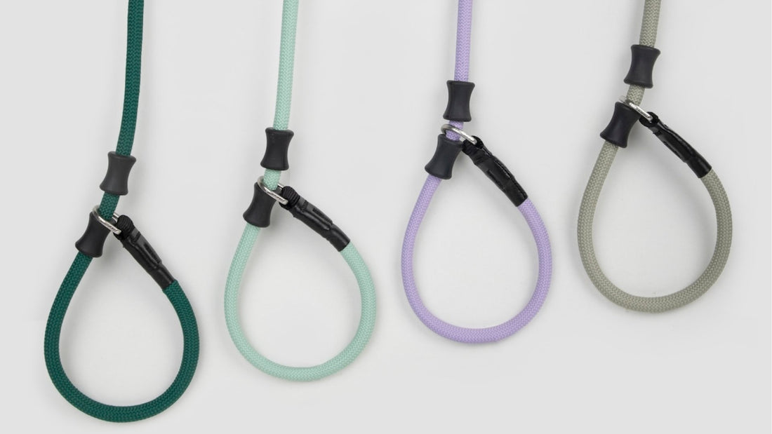 Leashes