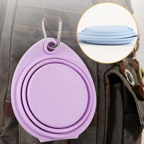 Portable & Collapsible Dual Silicone Pet Bowls